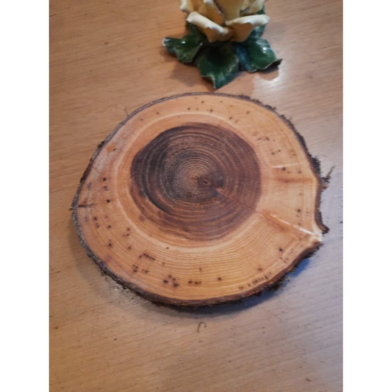 Baumscheibe aus Ulme 15 cm