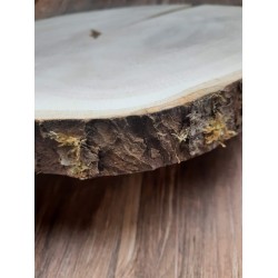 Ahorn Baumscheibe 43x41