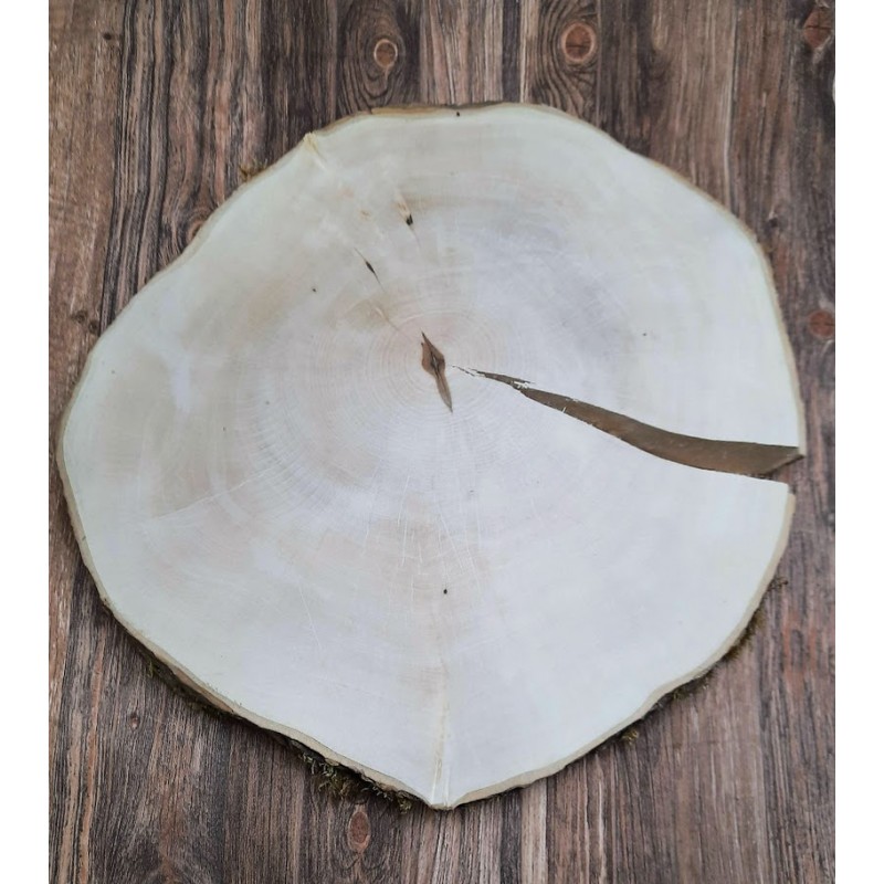 Ahorn Baumscheibe 43x41