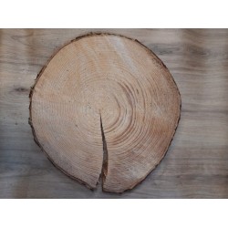 Baumscheibe Fichte 35 cm sägerau mit riss