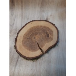 Baumscheibe aus Eiche 15-17 cm