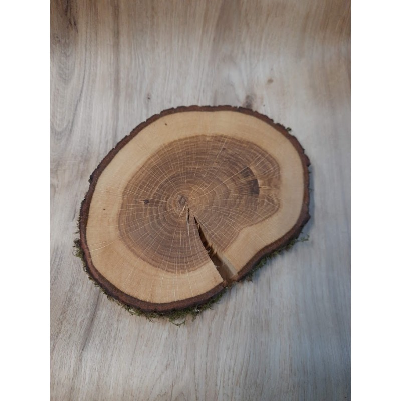 Baumscheibe aus Eiche 15-17 cm Baumscheibe aus Eiche 15-17 cm