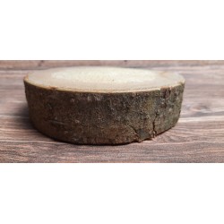 Baumscheibe aus Fichte 20 bis 25 cm