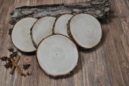 5 Baumscheiben aus Kiefer Durchmesser 15 cm 