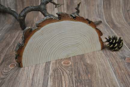 Halbe Baumscheibe Kiefer 25 - 27 cm  