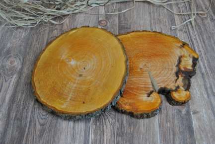 Baumscheibe aus Roterle 18-23 cm B-Ware